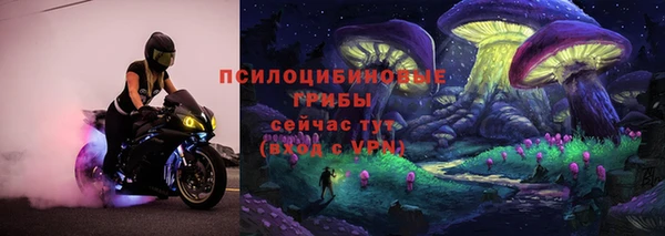 apvp Алексин