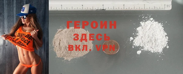 индика Сатка