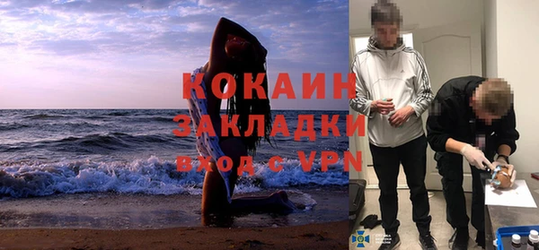 индика Гвардейск