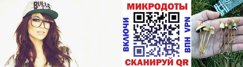 Галлюциногенные грибы Cubensis купить наркотики сайты Биробиджан